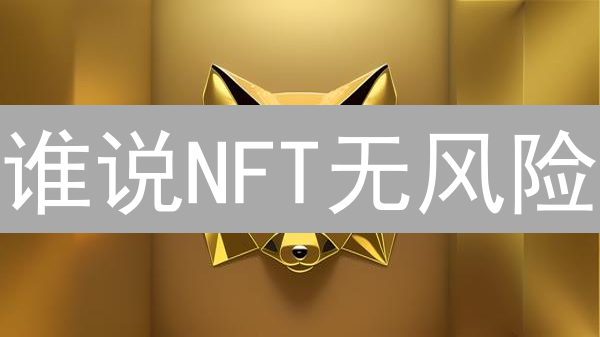 谁说NFT无风险？Imaginaryones投资的18个真相！