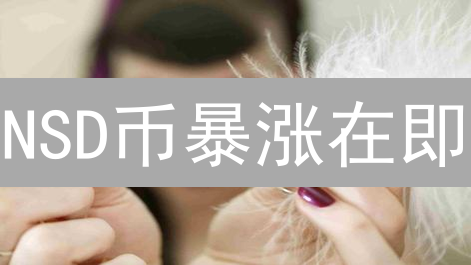 NSD币暴涨在即？深度剖析未来价值、机制、应用与风险！