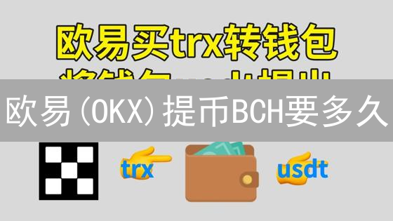 欧易(OKX)提币BCH要多久？2024年高效提币技巧及注意事项