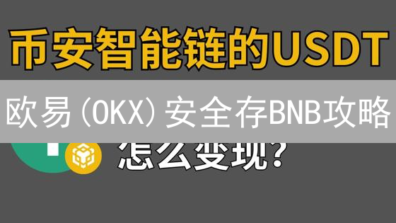 欧易(OKX)安全存BNB攻略：交易所 vs Web3 vs 冷钱包，哪个更适合你？