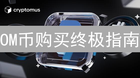 OM币购买终极指南：交易所选择与风险评估！