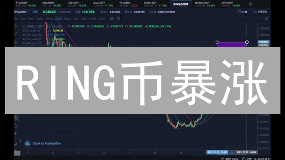 RING币暴涨？深度解析达尔文网络跨链未来！