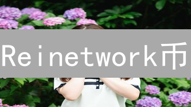Reinetwork币：下一代区块链基础设施，投资潜力分析与风险评估