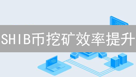 SHIB币挖矿效率提升：流动性与质押策略解析