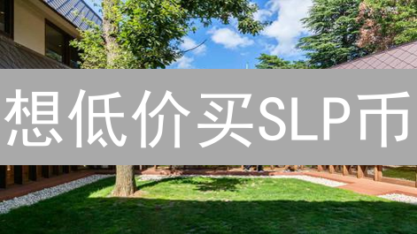 想低价买SLP币？2024年必看攻略，别踩坑！