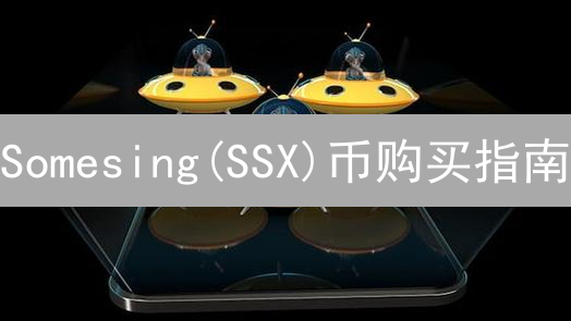 Somesing(SSX)币购买指南：新手入门教程及风险提示
