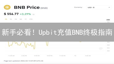 新手必看！Upbit充值BNB终极指南：避坑技巧全攻略