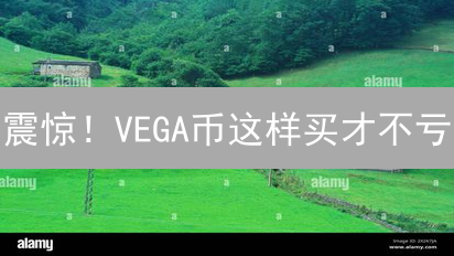 震惊！VEGA币这样买才不亏？HTX保姆级教程来了！