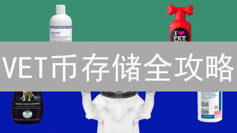 VET币存储全攻略：选对方案，守护您的数字资产！