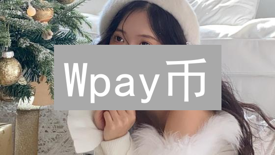 Wpay币：数字支付生态的新星与未来展望