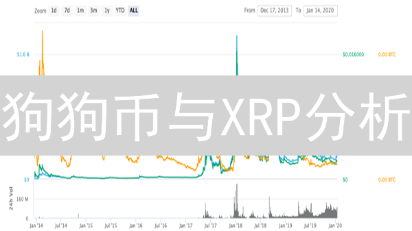 狗狗币与XRP分析：迷因力量与跨境支付的未来展望