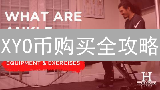 XYO币购买全攻略：交易所选择与安全指南，新手必看！