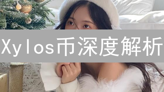Xylos币深度解析：项目背景、技术特点与投资价值